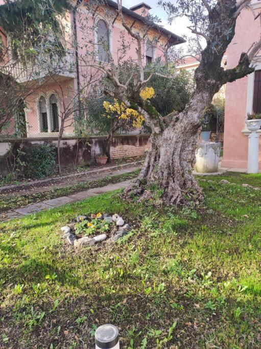 Villa Casa Argia Padua Exterior foto